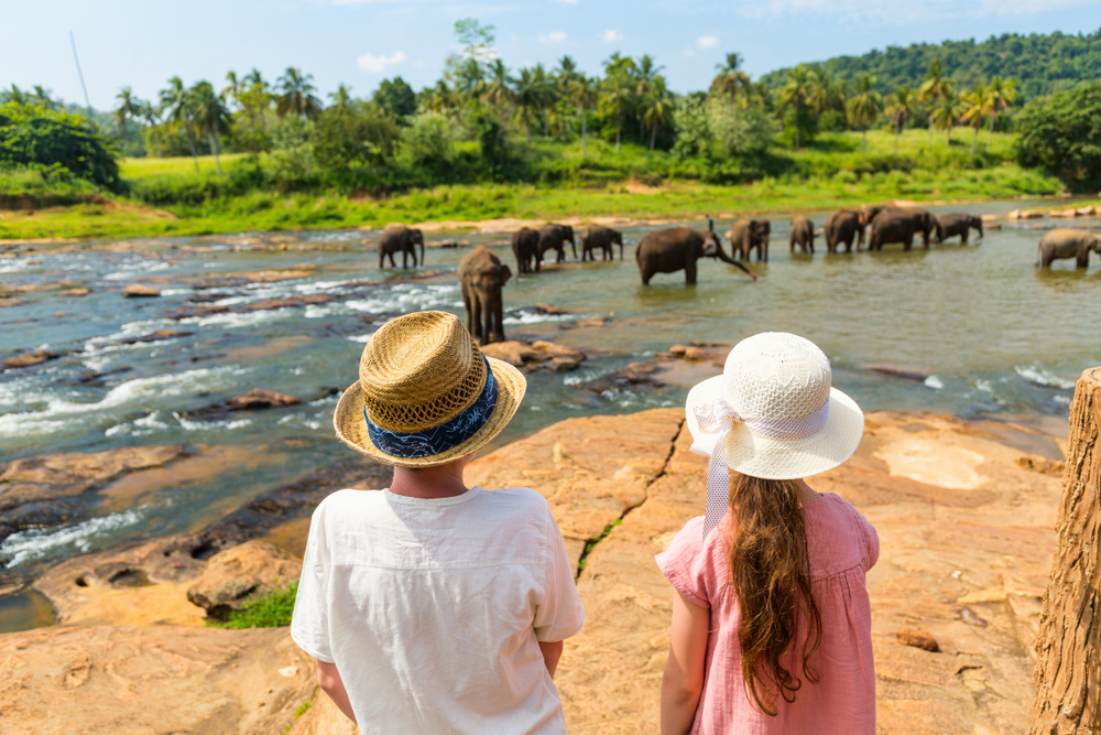 Sri Lanka with Kids: Practical Family Travel Guide & Itinerary (2026)